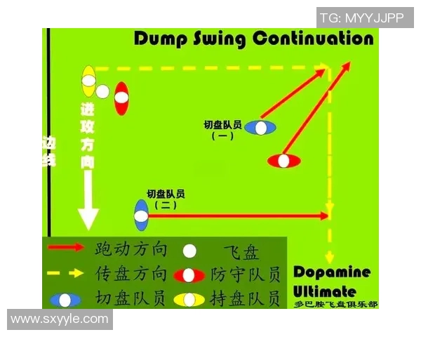 成都飞盘队灵活性引发热议赛场表现与战术选择的深度探讨